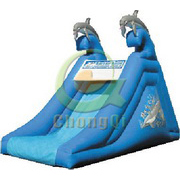 giant inflatable dolphin slide